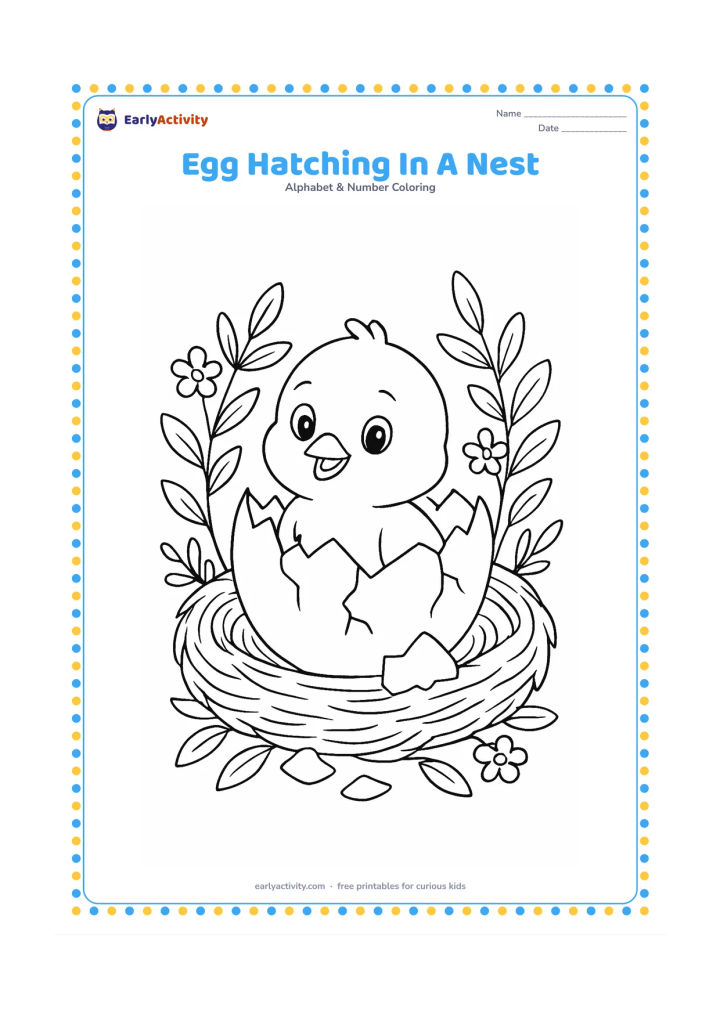 Colouring page: Draw a cracked egg in a woven nest with a cheerful baby bird peeking out safely. Surround the nest with leafy branches, small flowers and a few loose shell pieces.