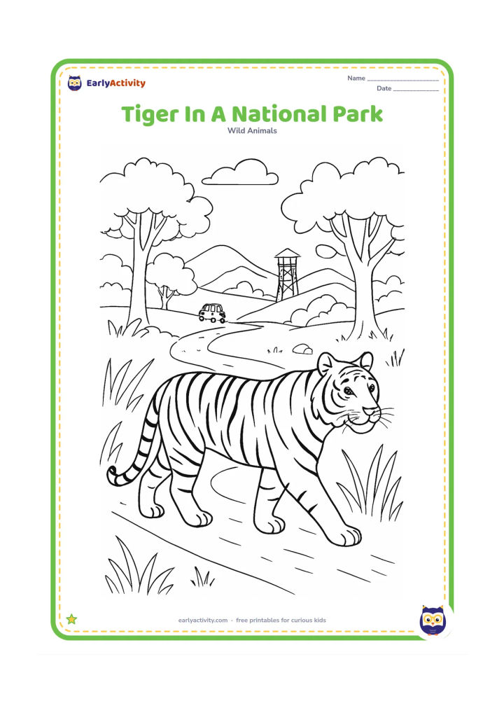Colouring page: A tiger walks along a marked-looking but wordless forest track through an Indian national park landscape, with a distant watchtower, safari vehicle far away, rocky hills, tall grass, and…