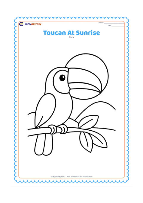 Colouring page: A toucan sits on a low branch in front of a large rising sun and two simple rounded hills. Add three broad leaves near the branch without filling the sky with detail.