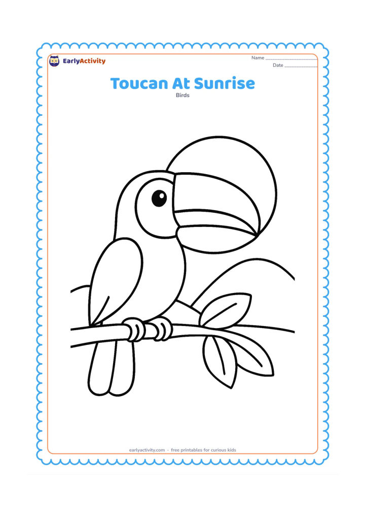 Colouring page: A toucan sits on a low branch in front of a large rising sun and two simple rounded hills. Add three broad leaves near the branch without filling the sky with detail.
