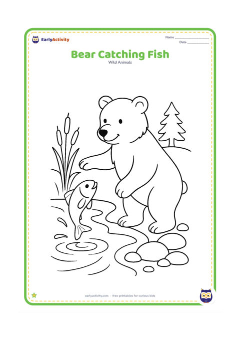 Colouring page: A bear stands at the edge of a stream, reaching toward a jumping fish. Include river stones, reeds, ripples, and a small evergreen tree.