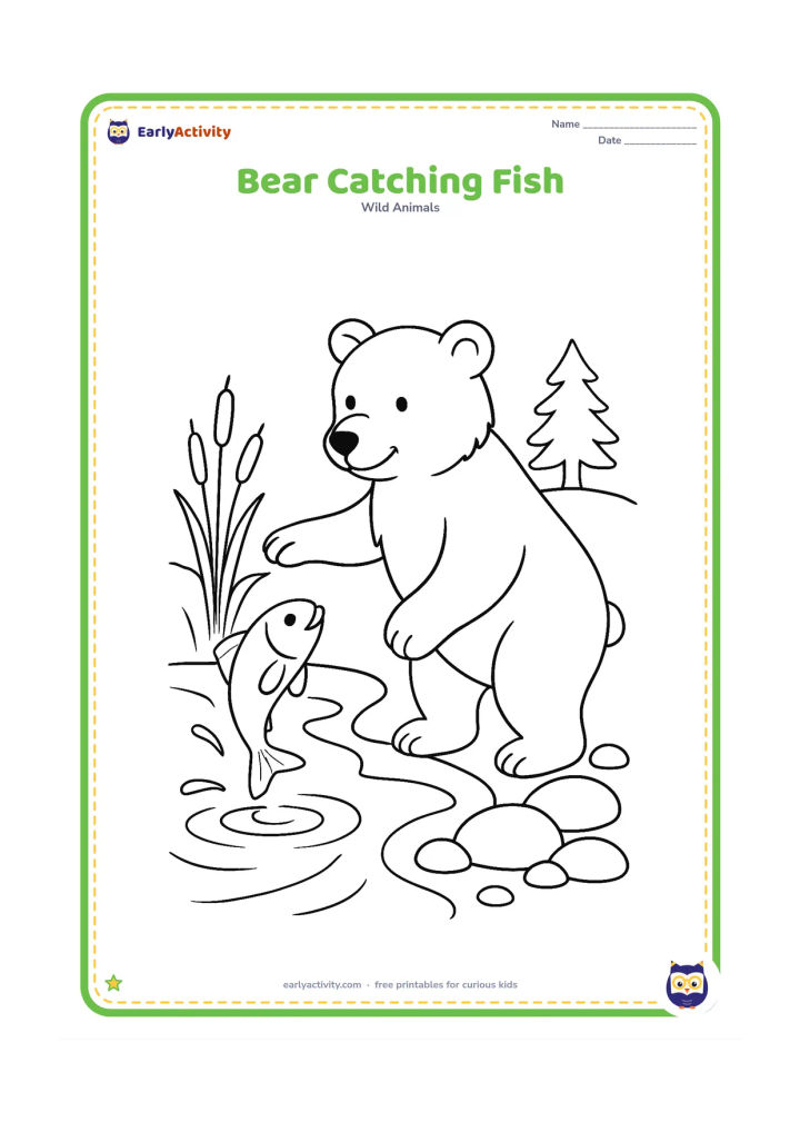 Colouring page: A bear stands at the edge of a stream, reaching toward a jumping fish. Include river stones, reeds, ripples, and a small evergreen tree.