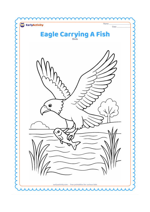 Colouring page: Draw an eagle flying low over a river while holding one small fish in its talons. Include rippling water, reeds along the bank and two distant trees.
