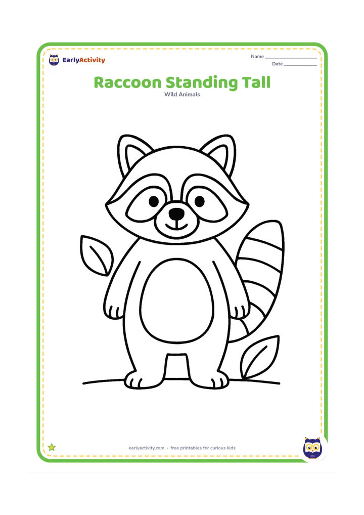 Colouring page: Draw one friendly raccoon standing upright with its ringed tail beside it, facing forward with clear eyes, ears, paws and mask markings. Add only two large leaves and a simple ground line.