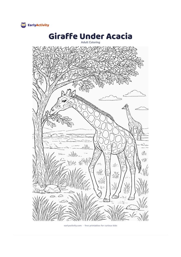 Colouring page: Draw a giraffe bending its long neck to eat leaves from a spreading acacia tree. Include a second giraffe in the distance, tall grasses, scattered rocks and a wide horizon with a calm…