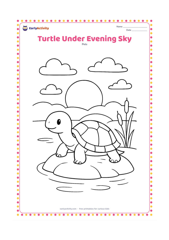 Colouring page: A pet turtle rests on a basking rock near its pond at sunset, with a low sun, gentle clouds, reeds and a few ripples. Keep the turtle in the foreground.