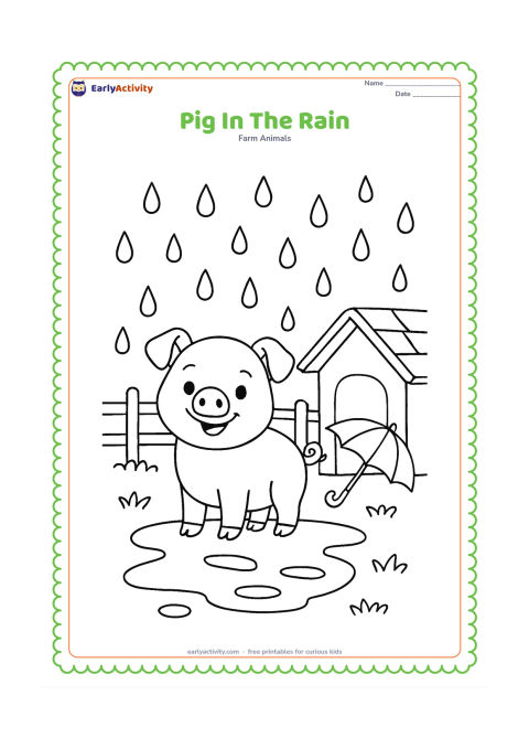 Colouring page: A pig stands happily in a farmyard during a gentle rain shower, with large raindrops, a puddle, a small shelter and a fence. Add one umbrella resting near the shelter, with no person…