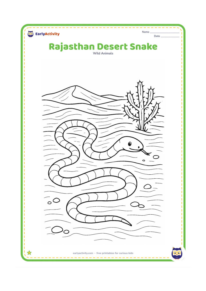Colouring page: Draw a snake making curved tracks across Rajasthan sand dunes, with a thorny desert plant, scattered pebbles, and distant low dunes. Show the body, tail, and track pattern clearly.