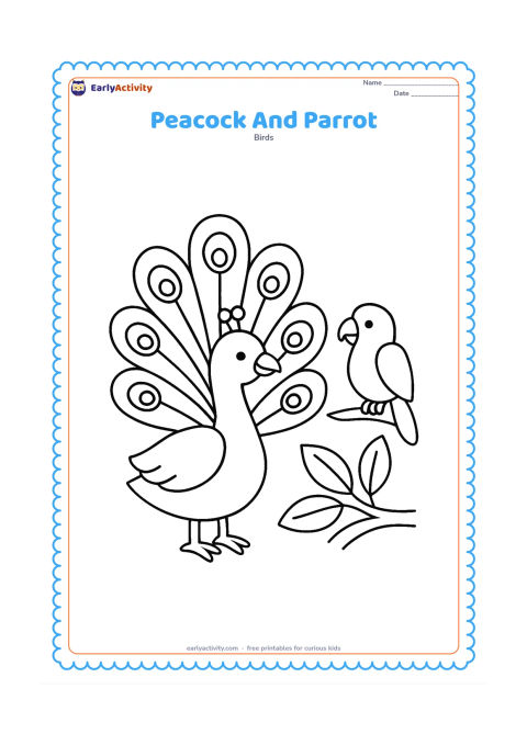 Colouring page: A peacock and a small parrot perch near a low garden branch with two large leaves. Keep the peacock's folded train visible and the parrot clearly smaller.