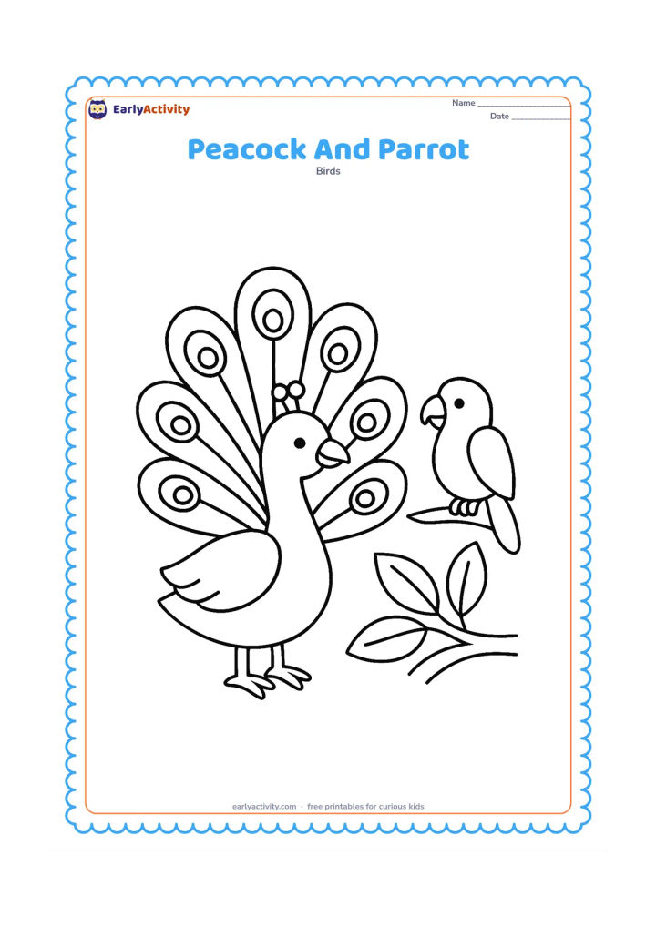 Colouring page: A peacock and a small parrot perch near a low garden branch with two large leaves. Keep the peacock's folded train visible and the parrot clearly smaller.