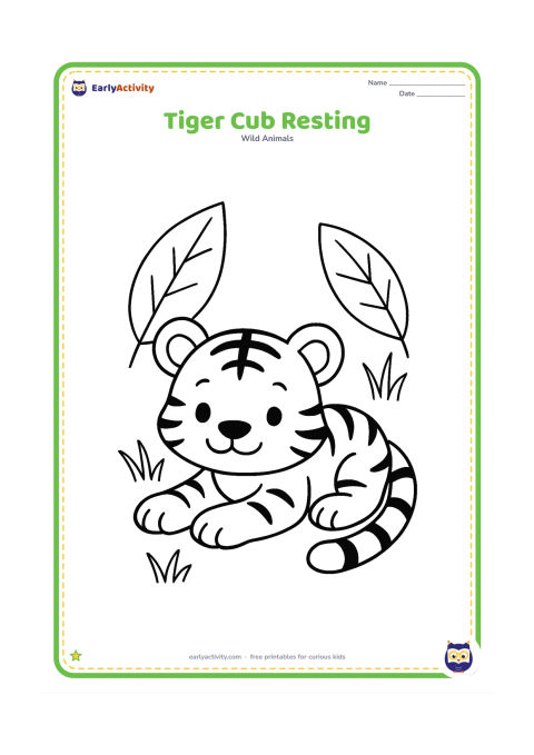 Colouring page: A small tiger cub lies on its belly with its front paws stretched forward and its tail curled around one side. Add two large leaves and a few simple grass blades nearby.