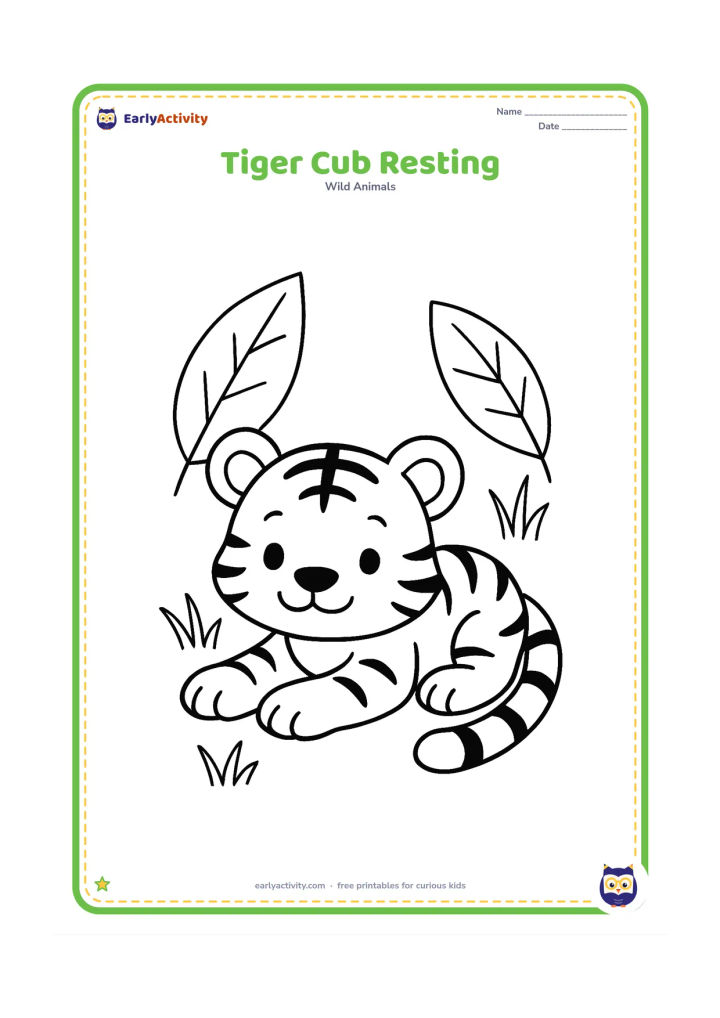 Colouring page: A small tiger cub lies on its belly with its front paws stretched forward and its tail curled around one side. Add two large leaves and a few simple grass blades nearby.