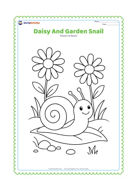 Colouring page: Draw two daisies beside a friendly snail moving along a broad leaf. Add a few pebbles, grass blades and a low mound of soil.