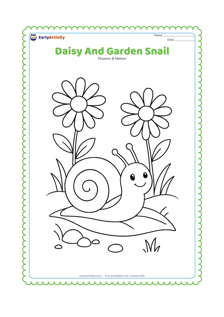 Colouring page: Draw two daisies beside a friendly snail moving along a broad leaf. Add a few pebbles, grass blades and a low mound of soil.