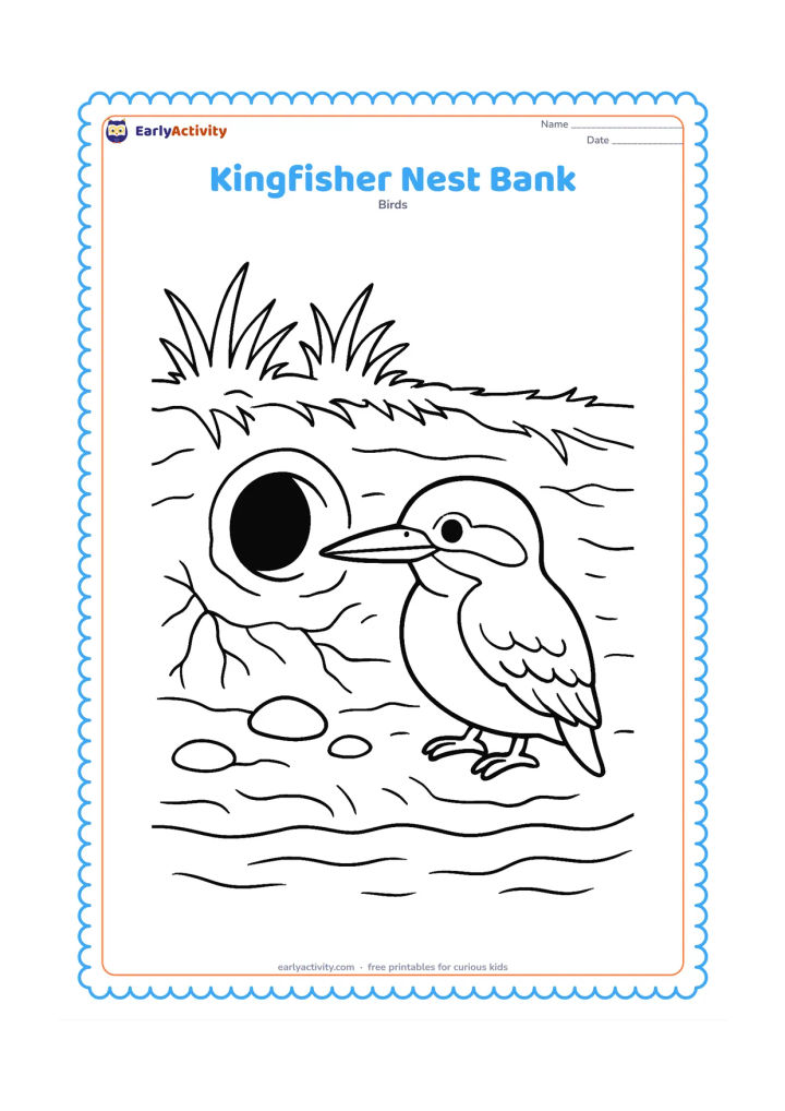 Colouring page: A kingfisher stands outside the entrance of a tunnel nest in a muddy riverbank, with the round tunnel opening visible beside it. Add layered soil, grass roots, a few stones and water below.