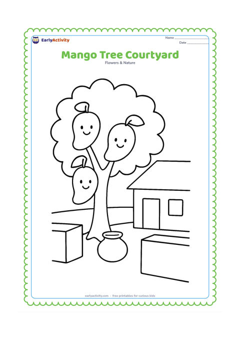 Colouring page: Draw a broad mango tree beside a simple Indian home courtyard, with three large mangoes, a low wall, and a round clay pot near the trunk. Do not include any house signs or writing.