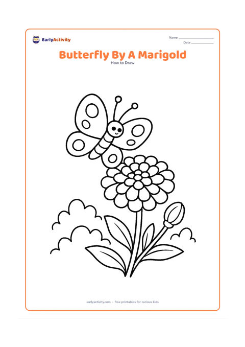 Worksheet: Show a butterfly landing on a marigold flower in a garden, with layered rounded petals, a stem, leaves and a second unopened bud. Give the butterfly two-tone wing sections with large spots.