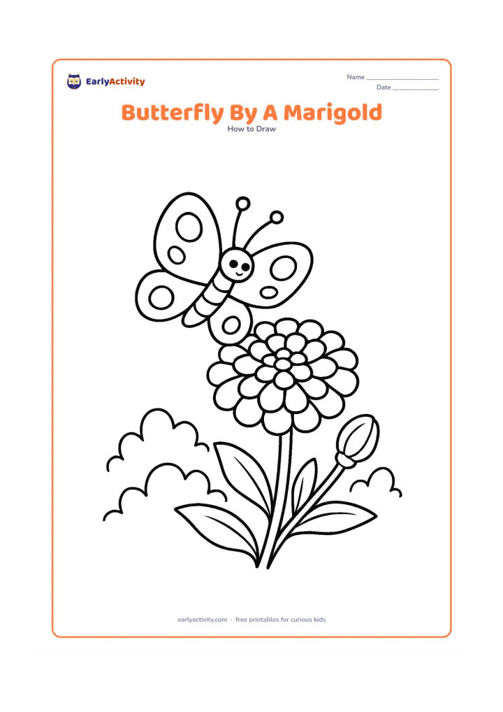 Worksheet: Show a butterfly landing on a marigold flower in a garden, with layered rounded petals, a stem, leaves and a second unopened bud. Give the butterfly two-tone wing sections with large spots.