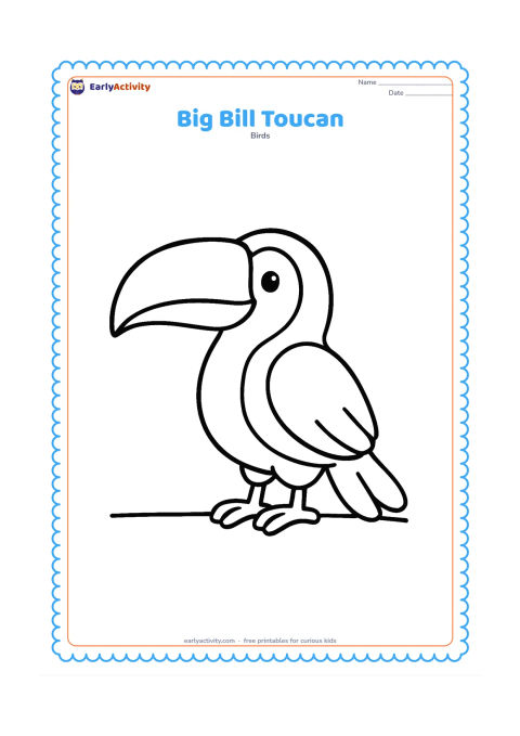 Colouring page: A friendly toucan faces left in a clear side view, with its very large curved bill, rounded body, two wings, tail, and feet fully visible. Use one simple ground line beneath it and leave…