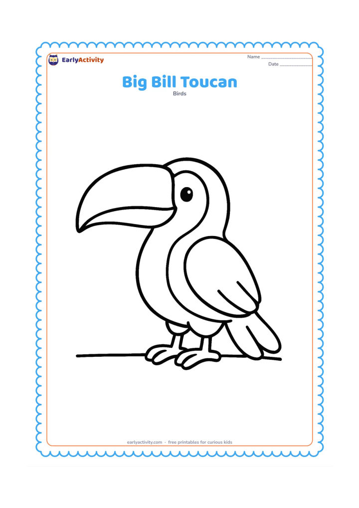 Colouring page: A friendly toucan faces left in a clear side view, with its very large curved bill, rounded body, two wings, tail, and feet fully visible. Use one simple ground line beneath it and leave…