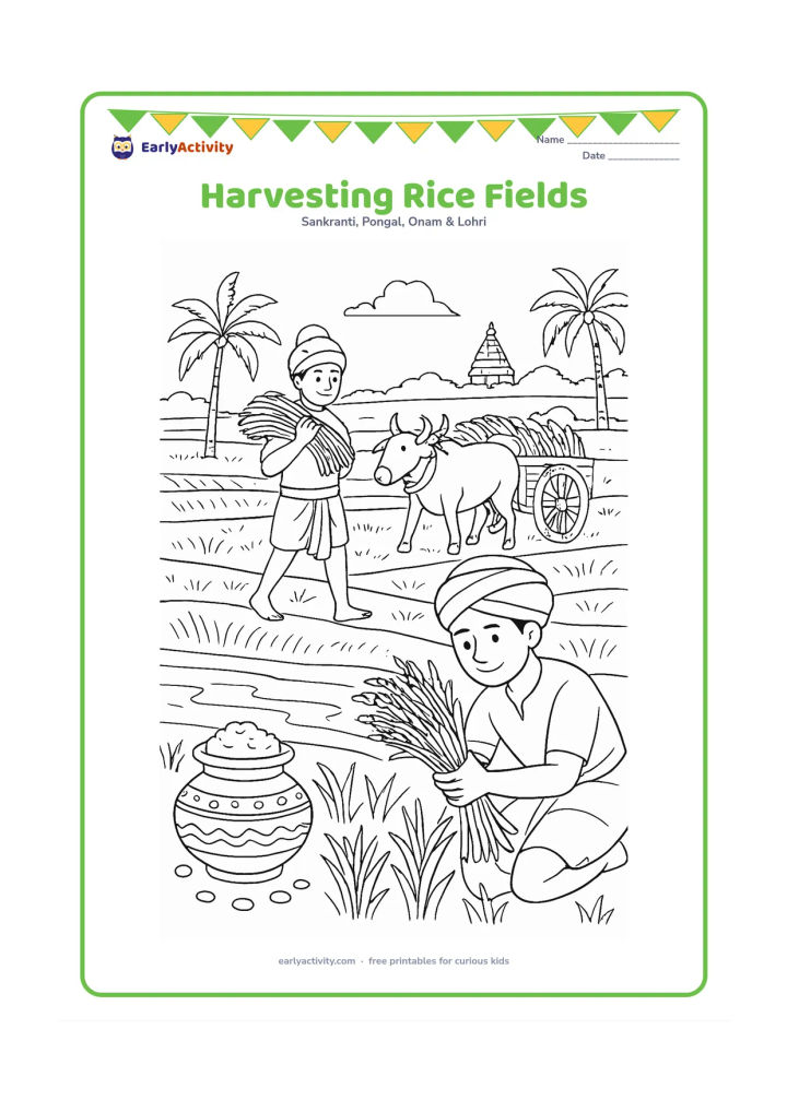 Colouring page: Farmers harvest rice in a broad field while another person carries sheaves toward a bullock cart. Include a decorated Pongal pot at the field edge, palm trees, irrigation water, and a…