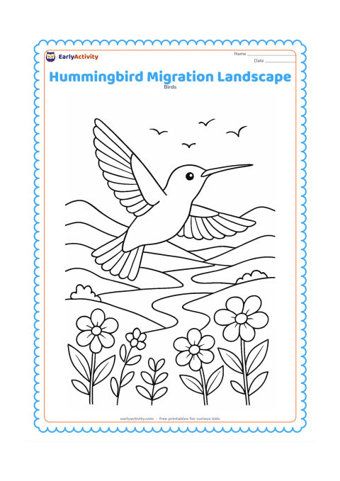 Colouring page: A hummingbird flies across a broad landscape with hills, flowering plants and a distant river, while several small birds appear far away in the sky. Show the main hummingbird with spread…