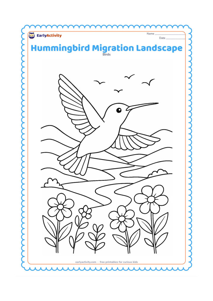 Colouring page: A hummingbird flies across a broad landscape with hills, flowering plants and a distant river, while several small birds appear far away in the sky. Show the main hummingbird with spread…