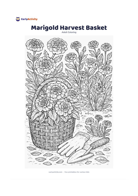 Colouring page: Draw a woven basket overflowing with marigolds, leaves and stems, beside a garden bed where more flowers grow. Include gardening gloves, a hand trowel and loose petals on the ground.