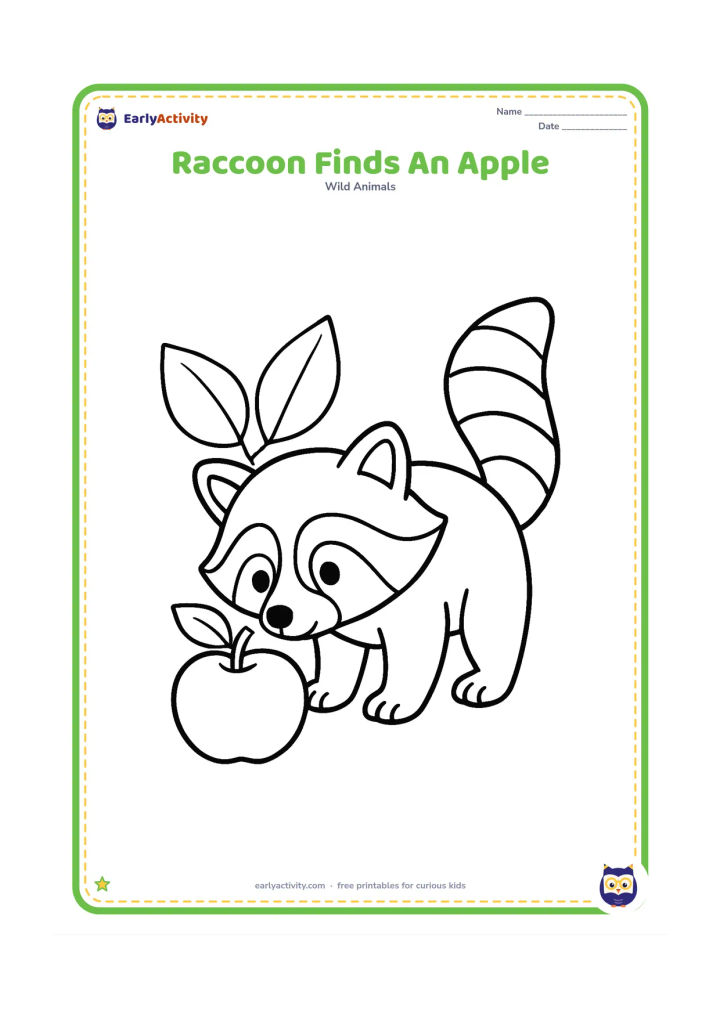 Colouring page: Draw a raccoon bending toward one large apple on the ground, with its nose close to the fruit and its ringed tail raised behind it. Add two broad leaves.