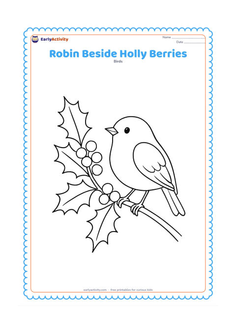 Colouring page: Draw a robin perched beside a holly branch with pointed leaves and clusters of round berries. Place the branch diagonally across the page with the bird facing the berries.