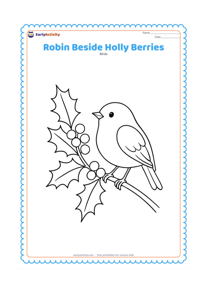 Colouring page: Draw a robin perched beside a holly branch with pointed leaves and clusters of round berries. Place the branch diagonally across the page with the bird facing the berries.