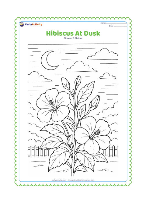 Colouring page: Draw a hibiscus plant at dusk with open and closing flowers, layered leaves, a crescent moon, scattered clouds, and a garden fence in the distance. Keep the scene peaceful and non-scary.