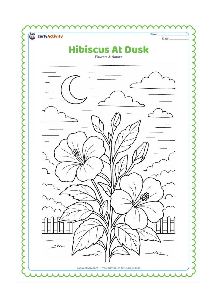 Colouring page: Draw a hibiscus plant at dusk with open and closing flowers, layered leaves, a crescent moon, scattered clouds, and a garden fence in the distance. Keep the scene peaceful and non-scary.