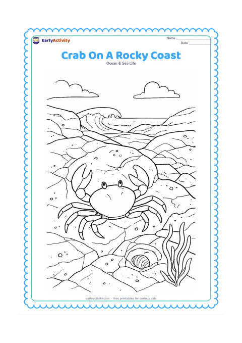 Colouring page: Place a crab climbing across a rocky coastline with cracks, small tide pools, barnacle-like dots, seaweed and a distant wave breaking against the rocks. Add a shell tucked into one pool.