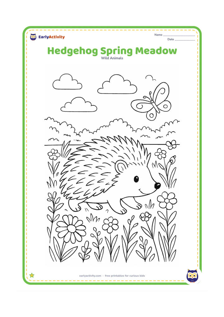 Colouring page: Draw a hedgehog walking through a detailed spring meadow filled with daisies, buttercups, grasses, ferns and a distant hedgerow. Add a butterfly and a few clouds in the open sky.