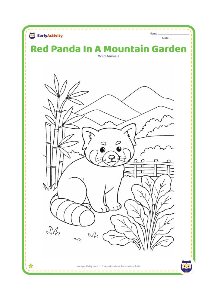 Colouring page: Draw a red panda sitting near the edge of a quiet Himalayan mountain garden, beside bamboo plants, broad leafy vegetables and a low woven fence. Show distant forested hills behind it…