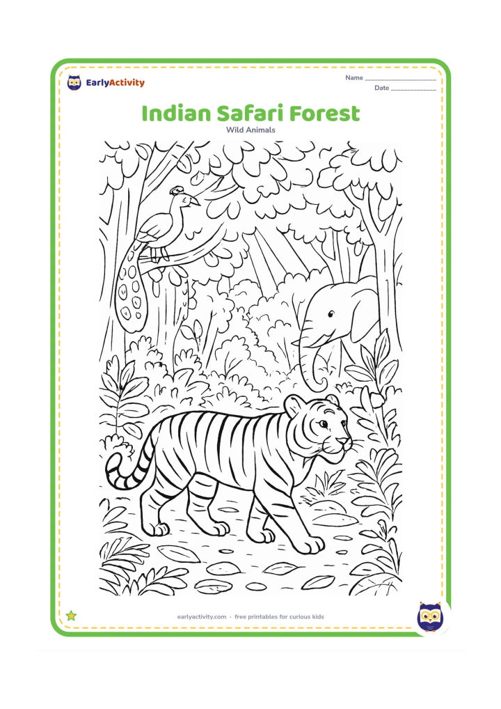 Colouring page: Draw a tiger walking along a forest trail in an Indian national park, with an elephant partly visible among sal trees and a peacock perched on a branch. Include ferns, fallen leaves,…