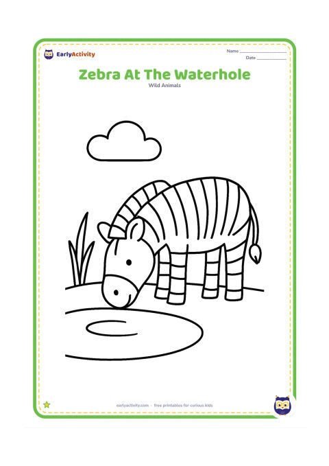 Colouring page: Draw one zebra bending its head toward a small waterhole to drink. Add a simple curved water edge, two reeds and one round cloud.