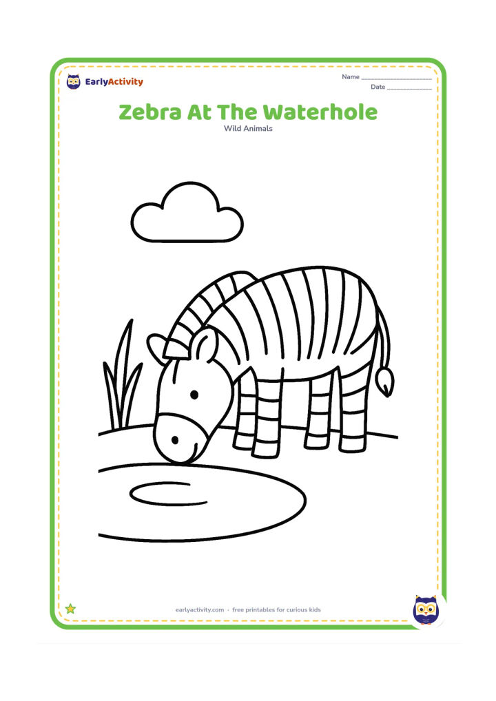 Colouring page: Draw one zebra bending its head toward a small waterhole to drink. Add a simple curved water edge, two reeds and one round cloud.