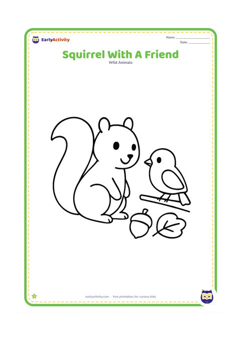 Colouring page: Draw a squirrel sitting beside a small friendly bird on a low branch, with one leaf and one acorn between them.