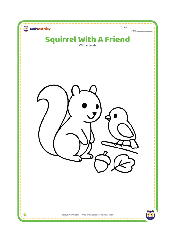 Colouring page: Draw a squirrel sitting beside a small friendly bird on a low branch, with one leaf and one acorn between them.