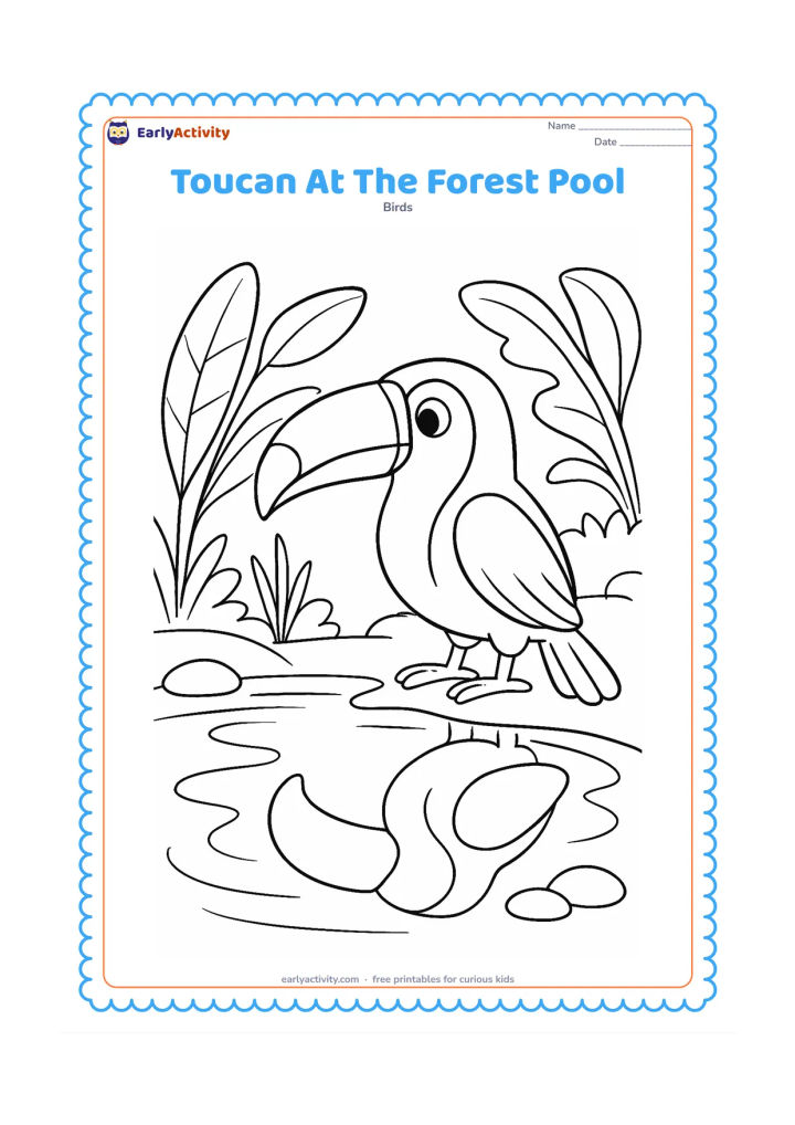 Colouring page: A toucan stands beside a shallow forest pool, looking at its reflection. Add large leaves, a few smooth stones, reeds, and curved water lines, with the reflection simplified but…