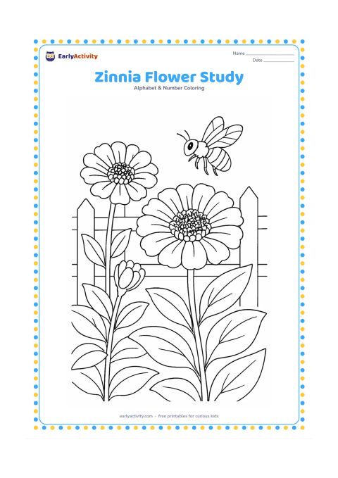 Colouring page: Draw a detailed group of zinnia flowers at different stages, including a large open bloom, a side-facing bloom and a bud among overlapping leaves. Add a bee and a simple garden fence…