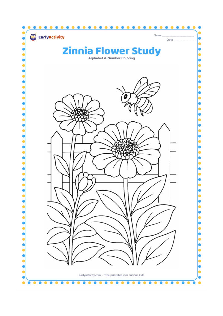Colouring page: Draw a detailed group of zinnia flowers at different stages, including a large open bloom, a side-facing bloom and a bud among overlapping leaves. Add a bee and a simple garden fence…