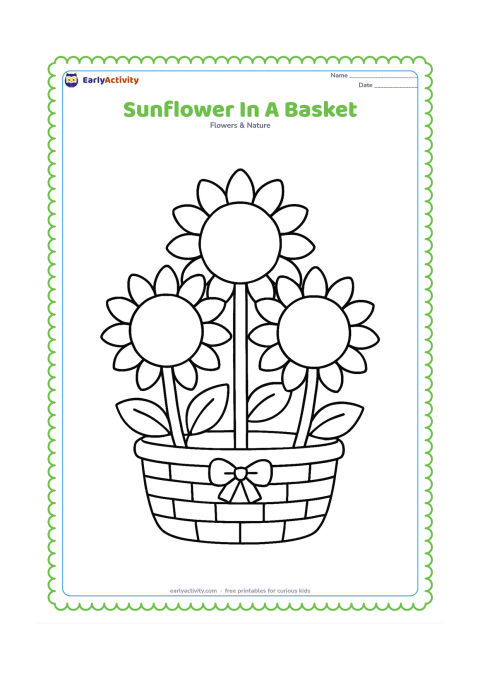 Colouring page: Three large sunflower heads with broad petals sit in a simple woven-style basket, with their stems and two leaves visible. Add only a small bow-shaped bundle tie with no pattern or writing.