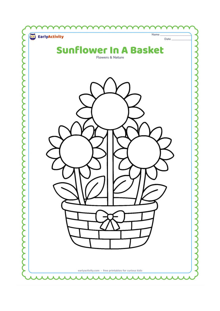 Colouring page: Three large sunflower heads with broad petals sit in a simple woven-style basket, with their stems and two leaves visible. Add only a small bow-shaped bundle tie with no pattern or writing.