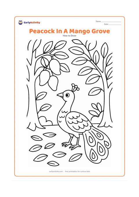 Worksheet: A peacock walks through an Indian mango grove, looking toward a low branch with several mangoes. Include two trunks, large leaves, fallen leaves and a partly open tail.