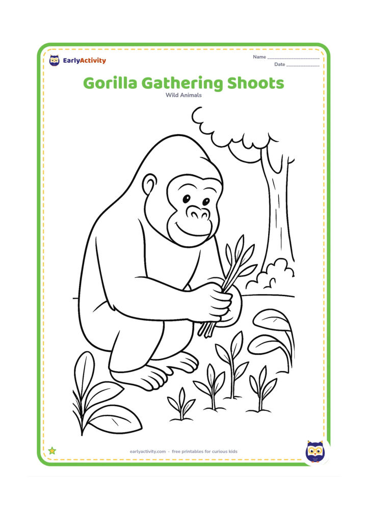 Colouring page: A gorilla kneels beside a patch of young plant shoots and gathers several stems into its hands. Add a few broad-leaf plants and a distant tree trunk.