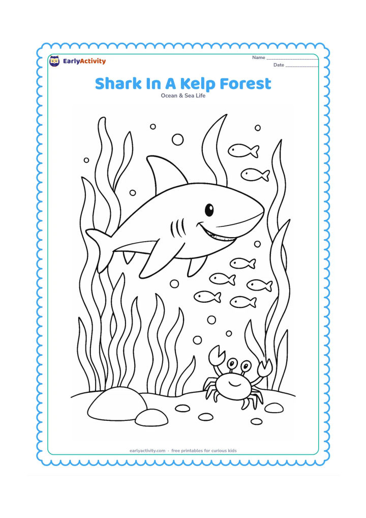 Colouring page: A shark weaves between tall kelp fronds with a school of small fish, bubbles, rocks and a crab on the seabed. Show the kelp bending with the water movement.