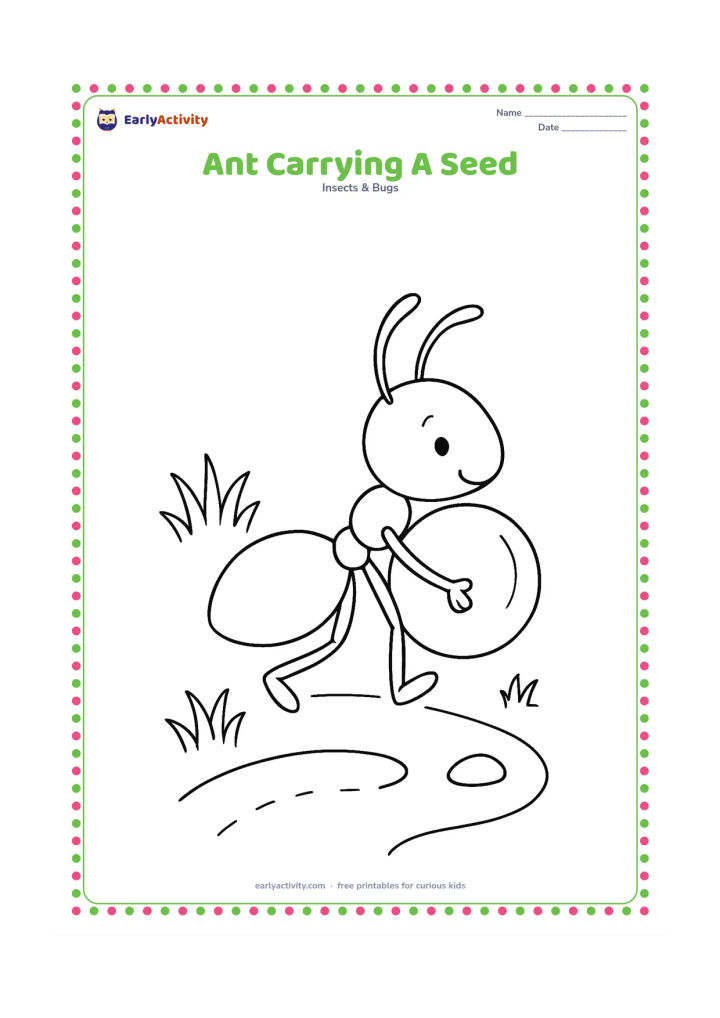 Colouring page: A side-view ant carries a round seed along a garden path. Include a few grass tufts, a small stone, and a curved trail behind it.
